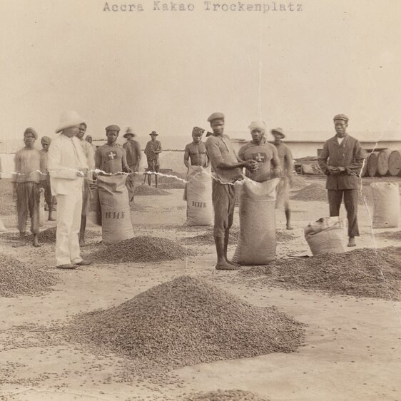 Lokale Arbeiter und der in «kolonialem Weiss» gekleidete Aufseher auf einem Kakao Trockenplatz der Basler Missionshandelsgesellschaft in Accra im heutigen Ghana (1904/1905).